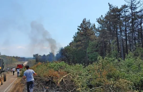 Ob požaru na goriškem Krasu poteka obsežna prostovoljska akcija 
čiščenja in širjenja protipožarnih prometnic ter sečnje gozdov 
okoli vasi, v kateri sodeluje okoli 300 prostovoljcev. 
