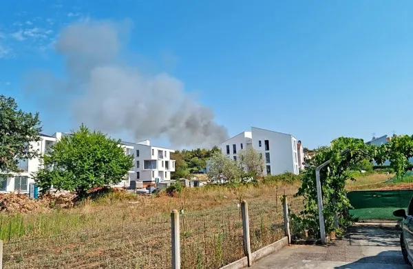 Zagorelo je na območju Zambratije v borovem gozdu blizu 
turističnega naselja.