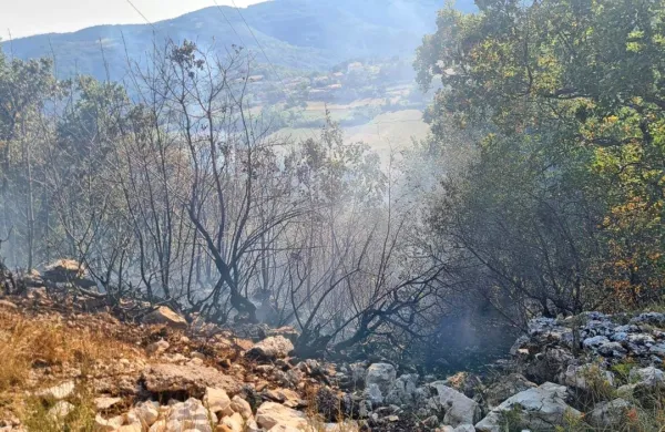 Gasilci  so  na  čelu  požara  preprečili, da  bi   preskočil  greben hriba in  
se približal  gozdu  nad  Movražem. 