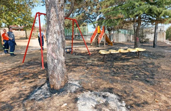    Ognjeni zublji so dosegli   tudi  zemljišče v Selah na  Krasu, kjer bodo 
zgradili prvi kamp v občini.   