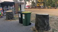 Namesto požaganih dreves bo Okolje Piran jeseni posadilo dve 
novi. 