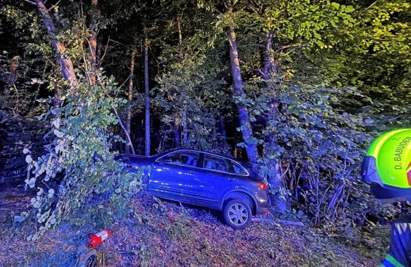 Z avtom zapeljala v drevesa, moža odpeljali v bolni&scaron;nico