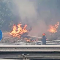 Ogenj je prečkal avtocesto in državno cesto v Sesljanu