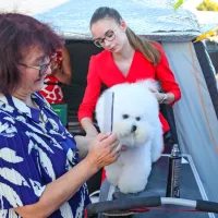 FOTO: Najlep&scaron;i človekovi zvesti prijatelji