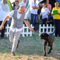 FOTO: Najlep&scaron;i človekovi zvesti prijatelji