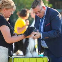 FOTO: Najlep&scaron;i človekovi zvesti prijatelji