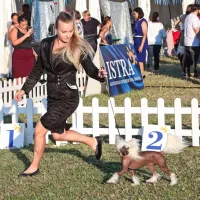 FOTO: Najlep&scaron;i človekovi zvesti prijatelji