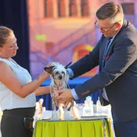 FOTO: Najlep&scaron;i človekovi zvesti prijatelji