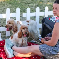FOTO: Najlep&scaron;i človekovi zvesti prijatelji