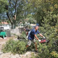 Nekateri prebivalci Socerba so poprijeli za žage, da bi ogenj 
zadržali čim dlje od svojih hiš.