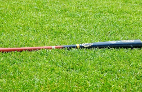 Včeraj je v lokal v Portorožu vidno pijan vstopil moški, ki je s seboj 
imel kij za baseball. Fotografija je simbolična. Vir: pixabay.com