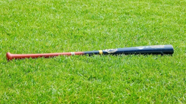 Včeraj je v lokal v Portorožu vidno pijan vstopil moški, ki je s seboj 
imel kij za baseball. Fotografija je simbolična. Vir: pixabay.com