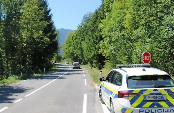 Prehiter voznik je pri Bovcu po prehitevanju trčil v drevo.