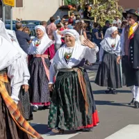 FOTO: 50 let Praznika terana in pr&scaron;uta napolnilo Dutovlje