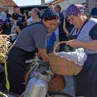 FOTO: 50 let Praznika terana in pr&scaron;uta napolnilo Dutovlje
