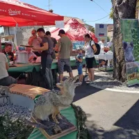 FOTO: 50 let Praznika terana in pr&scaron;uta napolnilo Dutovlje