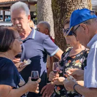 FOTO: 50 let Praznika terana in pr&scaron;uta napolnilo Dutovlje