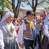 FOTO: 50 let Praznika terana in pr&scaron;uta napolnilo Dutovlje