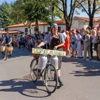FOTO: 50 let Praznika terana in pr&scaron;uta napolnilo Dutovlje