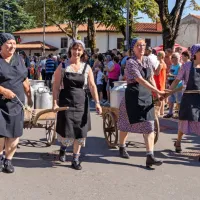 FOTO: 50 let Praznika terana in pr&scaron;uta napolnilo Dutovlje