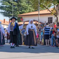 FOTO: 50 let Praznika terana in pr&scaron;uta napolnilo Dutovlje