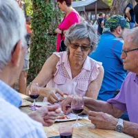 FOTO: 50 let Praznika terana in pr&scaron;uta napolnilo Dutovlje