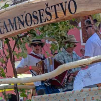 FOTO: 50 let Praznika terana in pr&scaron;uta napolnilo Dutovlje