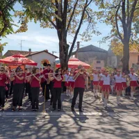FOTO: 50 let Praznika terana in pr&scaron;uta napolnilo Dutovlje