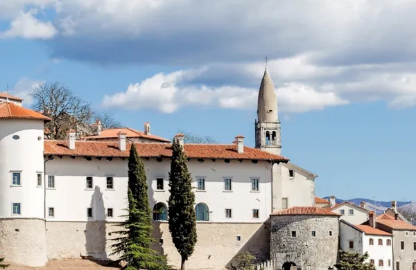 V gradu Štanjel bo do leta 2025 v okviru projekta Kulturni 
inkubator zaživel tudi muzej slovenskega jezika in knjige.
