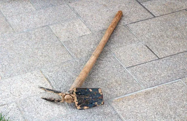 Osumljeni je  pred  hišo pobral   motiko in  nato  v   hiši z  njo napadel   
svojega  znanca.  
