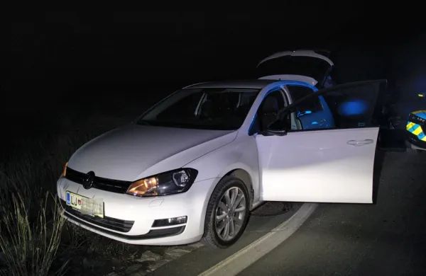 Policisti  so  v  noči na  petek   prestregli  dve  vozili,  v katerih  so  
prevažali  devet  ilegalnih  prebežnikov. 