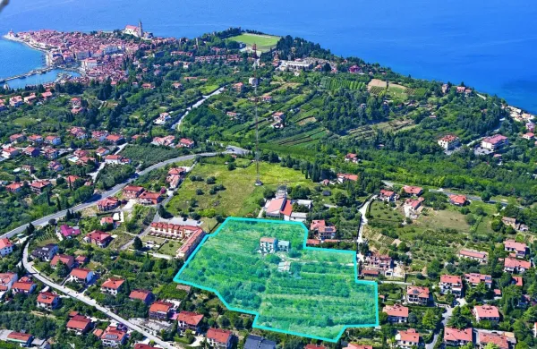 Z zeleno barvo je označeno zemljišče, ki ga prodaja Igor Lah in bo 
postalo last družbe Sončne vile, s katero je neposredno povezan 
Gašpar Gašpar Mišič. 