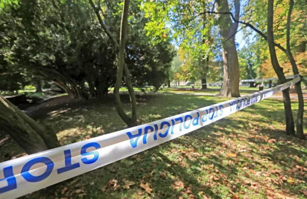 Preiskovalni sodnik mariborskega okrožnega sodišča je po sredinem zaslišanju zoper 22-letnega osumljenca za poskus umora 
20-letne ženske v noči na nedeljo v mariborskem mestnem parku 
odredil pripor.