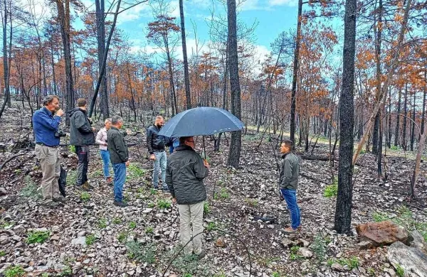 Predstavniki zavoda za gozdove so na Cerju danes predstavili 
natančne podatke o škodi zaradi požara na Krasu in sanacijski 
načrt za obnovo gozdov, kar bo trajalo več let. 