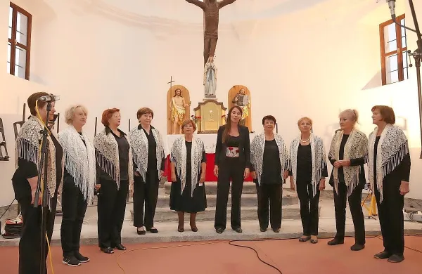 Ljudski godci in pevci v Manziolijevi palači