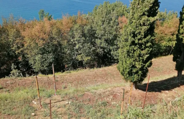 Del HF radarskega  sistema so štiri oddajne antene  (na pobočju), ki so 
z  zabojnikom  z elektroniko povezane le z enim kablom,  ...