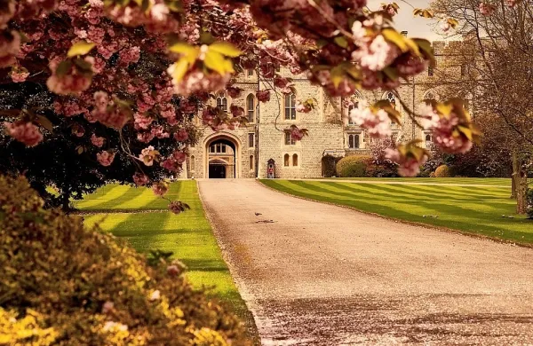 Grad Windsor