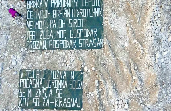 Civilna iniciativa Zdrava struga vijuga protestira zaradi  uničevanja  
brzic, tolmunov in življa.
