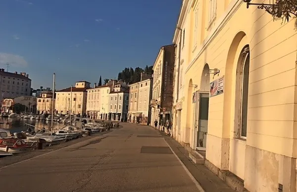 Domačin  naj  bi  v  trgovini  v  Piranu   že  večkrat  kradel  in  nato  
preprodajal   plen,  tudi  drugim  trgovinam.  