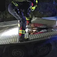 V podvozju prikolice prevažal ilegalne migrante