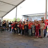 Vi ste srce Krasa