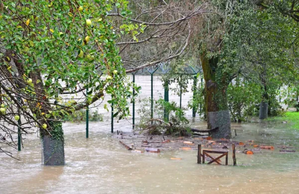 Reke in potoki se vračajo v struge