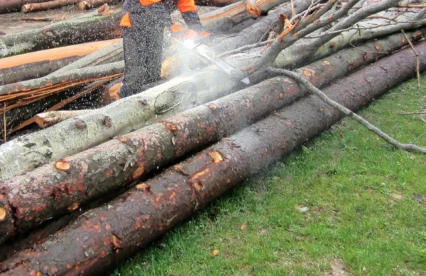 Fotografija je simbolična