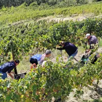 Sezona, kot je v Brdih ne pomnijo