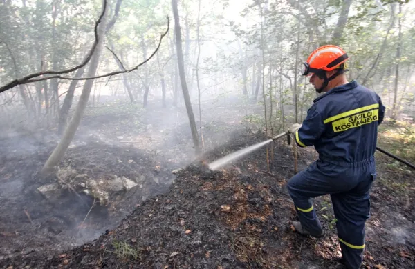 Izkupiček od prodaje vstopnic bo sicer namenjen gasilcem in za 
obnovo Markove koče.