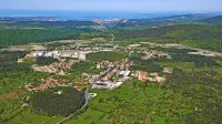 Začetka gradnje  obvoznice, ki bo Hrpelje in Kozino razbremenila 
tranzitnega prometa,  še ni mogoče napovedati.