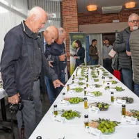 Ministrica &Scaron;inko v Izoli izpostavila pomen oljkarstva