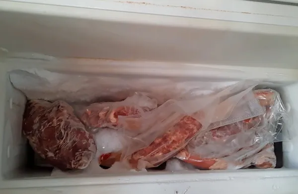 2700 evrov ni bilo dovolj skritih med klobasami, mesom in 
ostalimi zamrznjenimi dobrotami. 