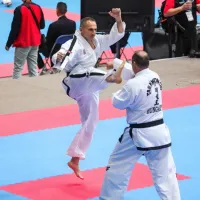 Teden svetovnega taekwondoja