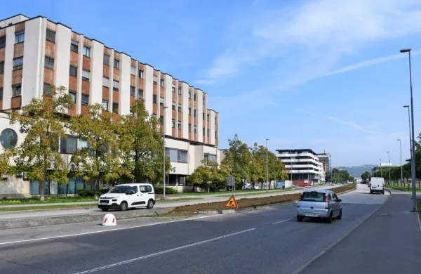 Delavci Marjetice so danes začeli pripravljati zemljo, jutri pa bodo 
medonosne rastline posejali na približno 2000 kvadratnih metrih 
površine.